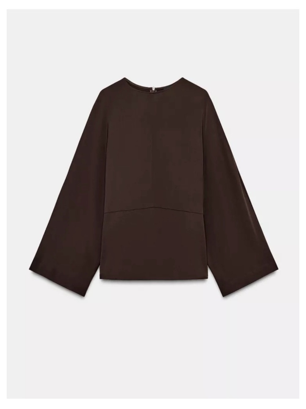 For Ana - Zara ZW Collection Flowing Blouse - Picture 3 of 8